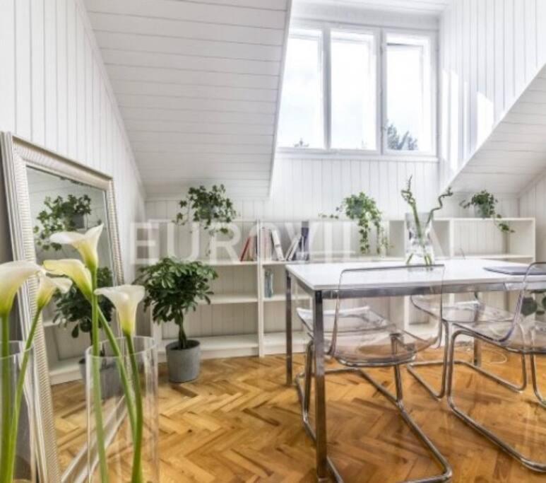 Big, Bright Apartment In The Center Of Zagreb Extérieur photo