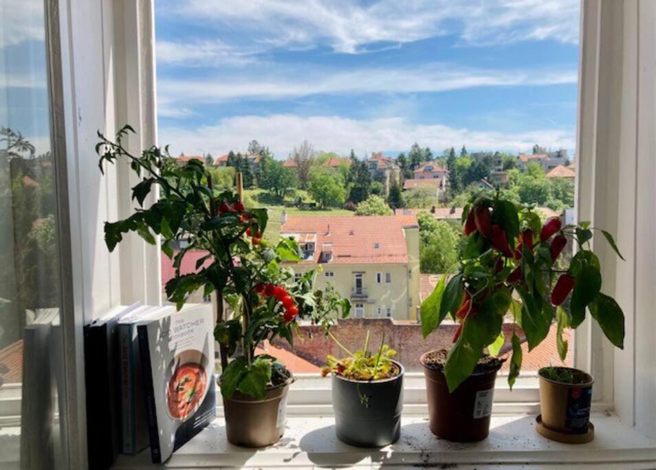 Big, Bright Apartment In The Center Of Zagreb Extérieur photo